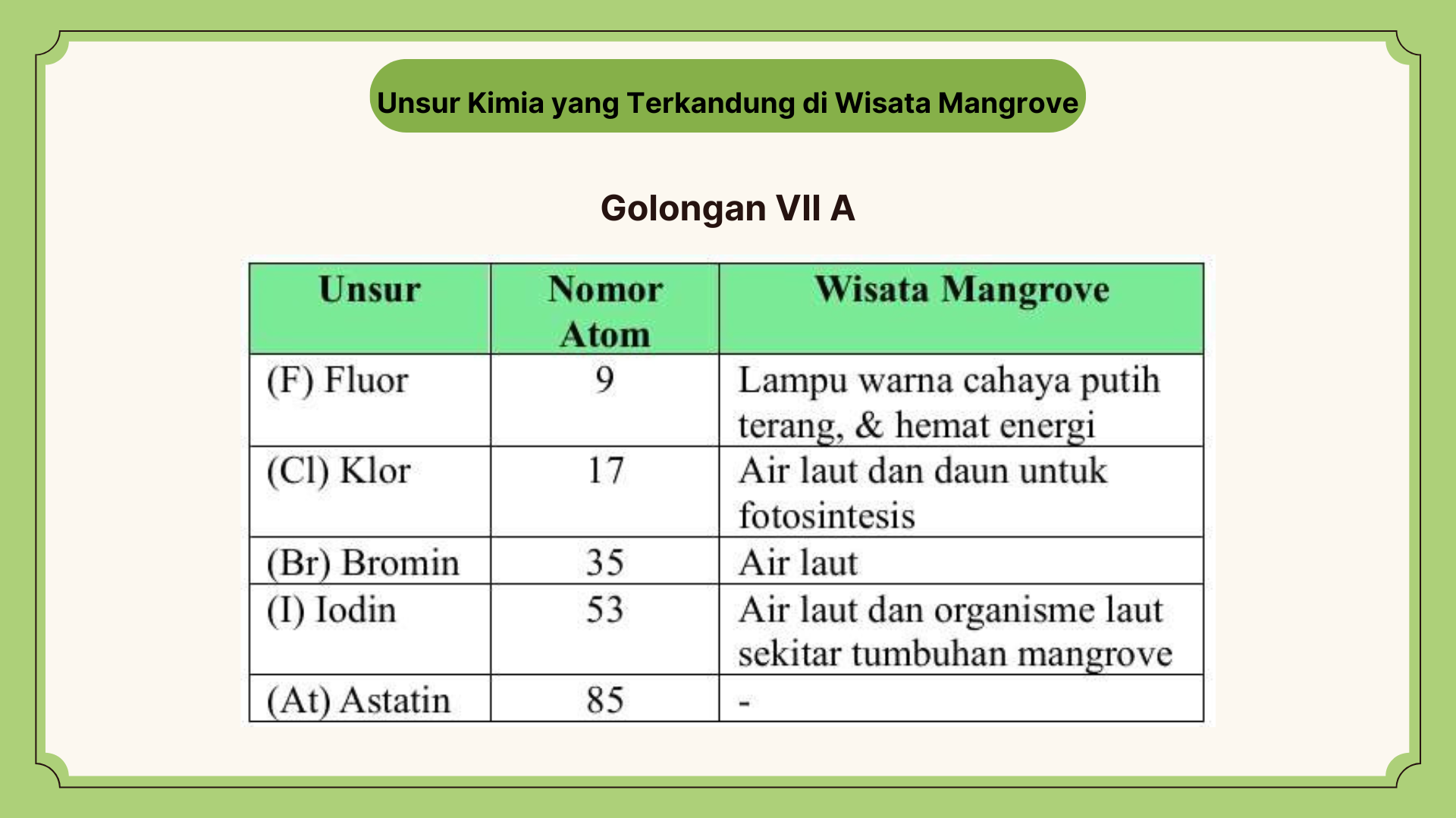 Wisata Mangrove - Foto 10