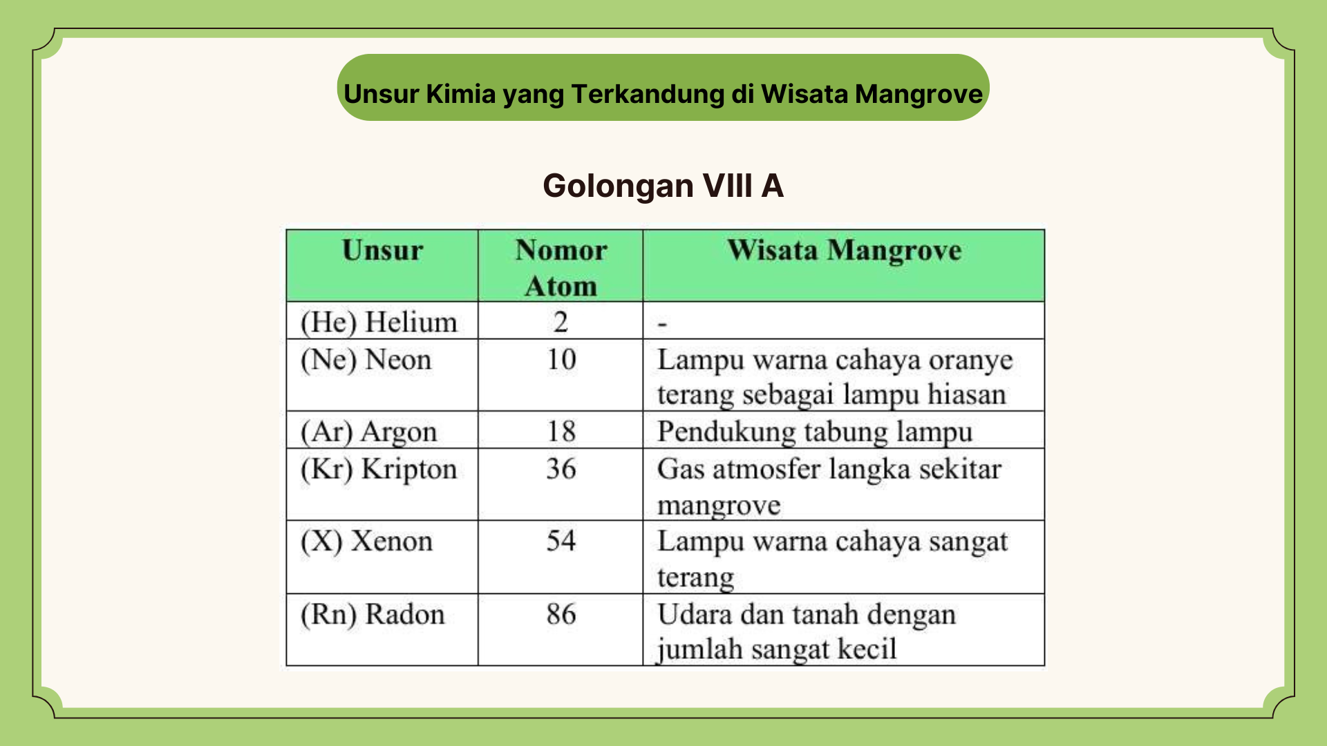 Wisata Mangrove - Foto 11