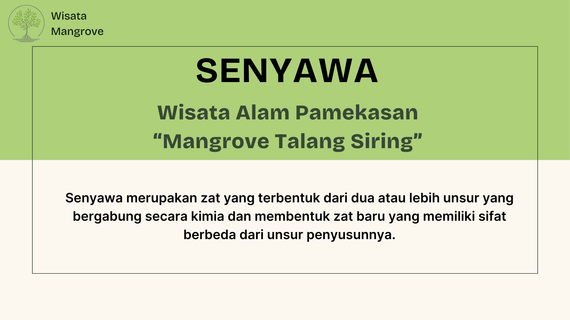 Wisata Mangrove - Foto 12