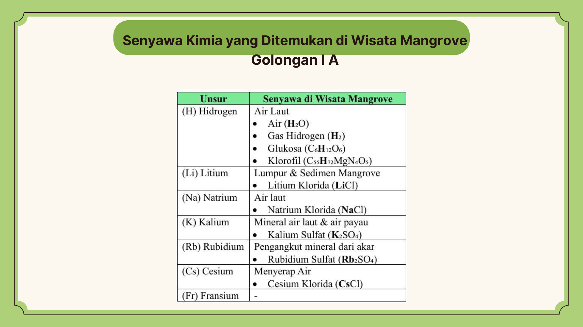 Wisata Mangrove - Foto 13