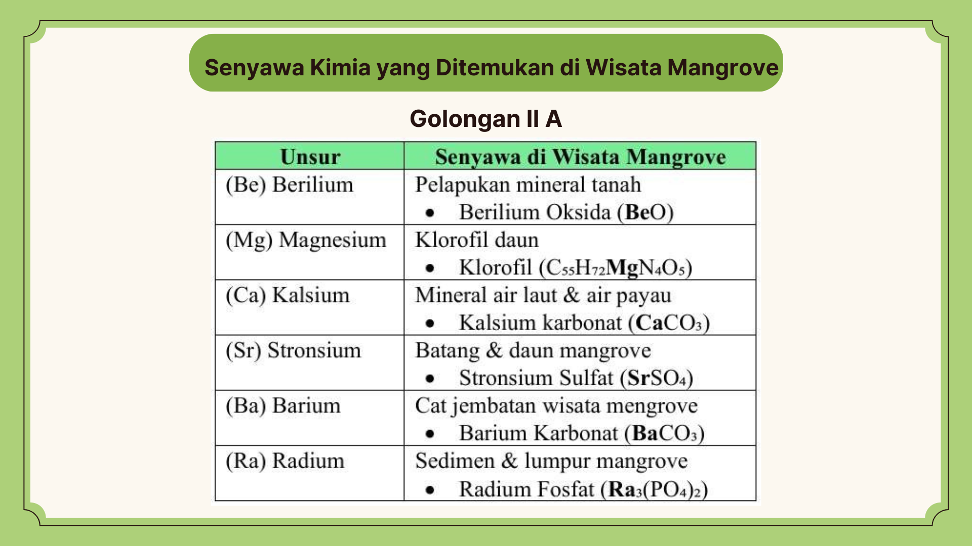 Wisata Mangrove - Foto 14