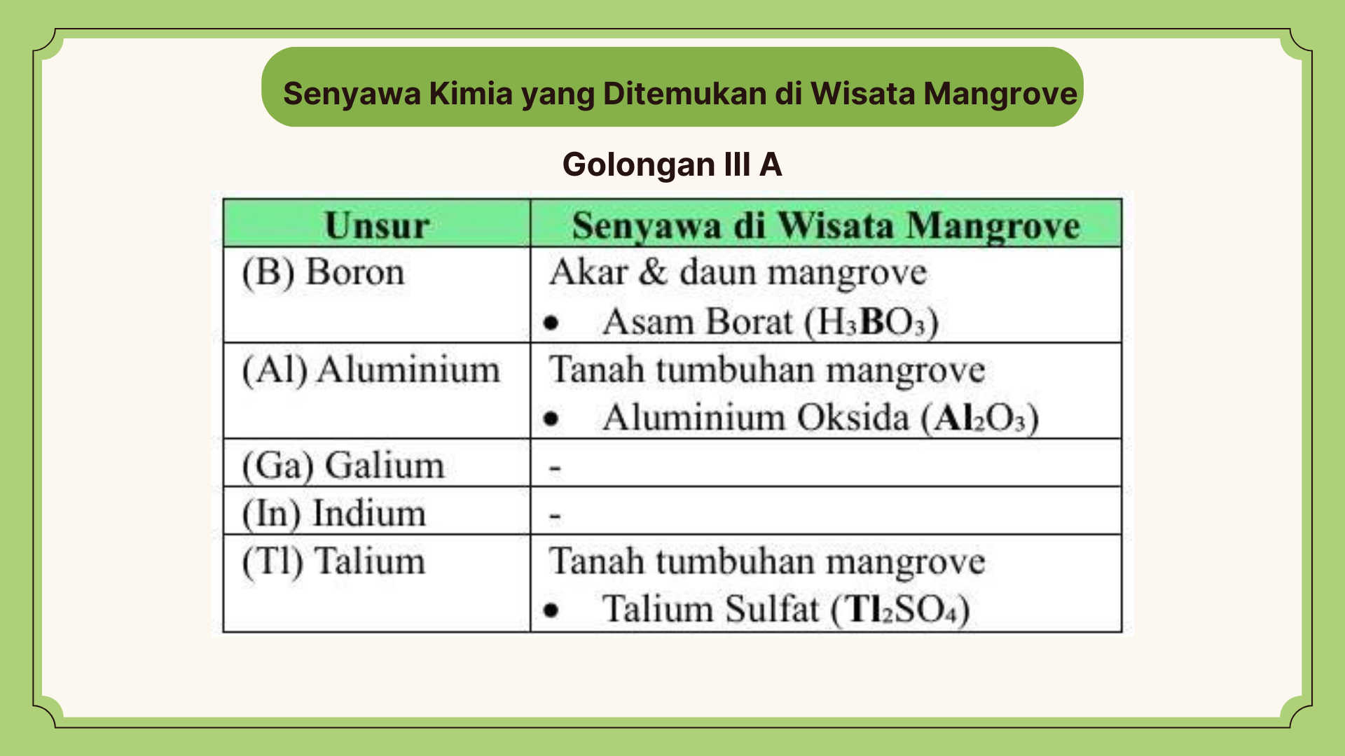 Wisata Mangrove - Foto 15