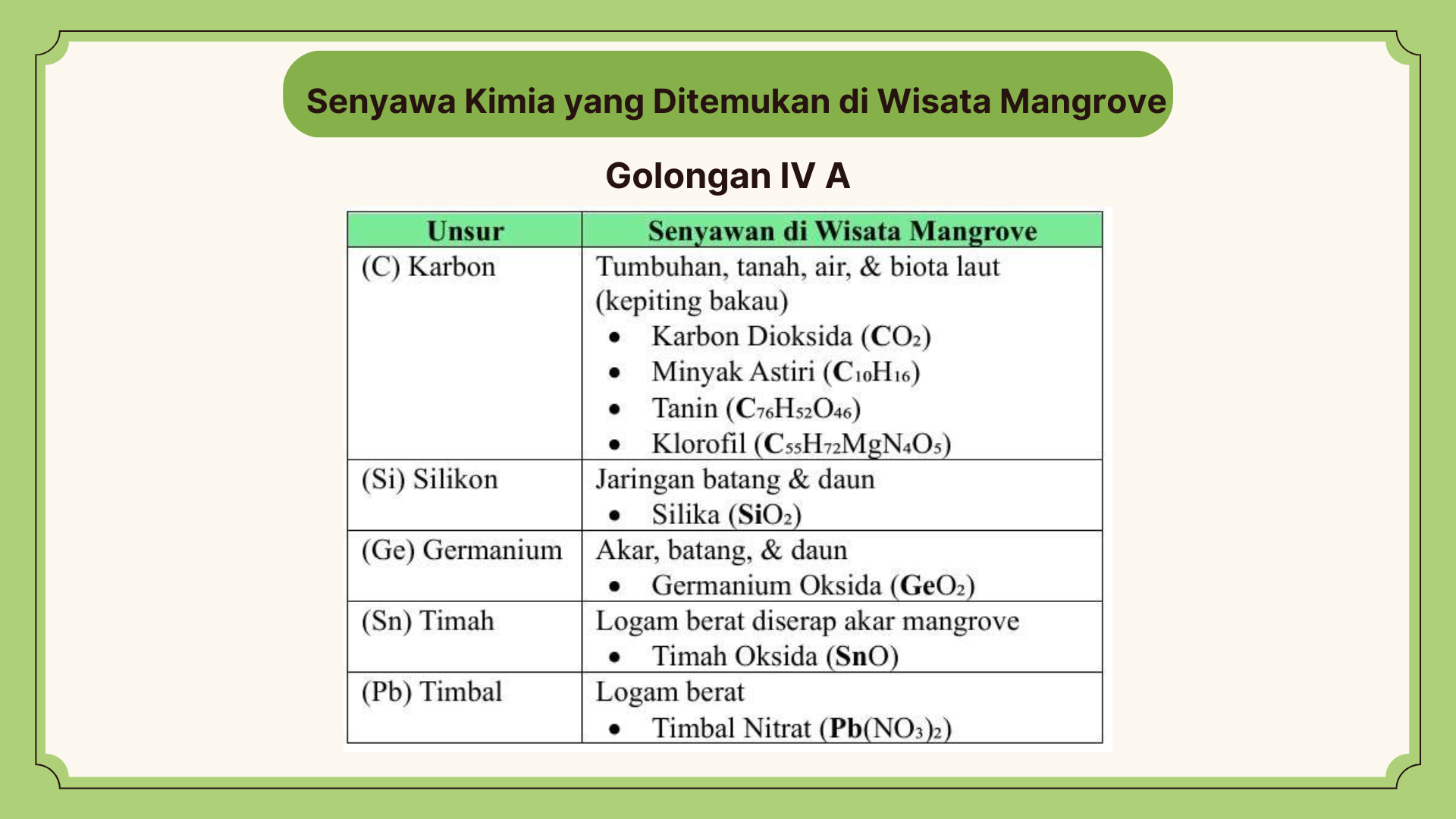 Wisata Mangrove - Foto 16
