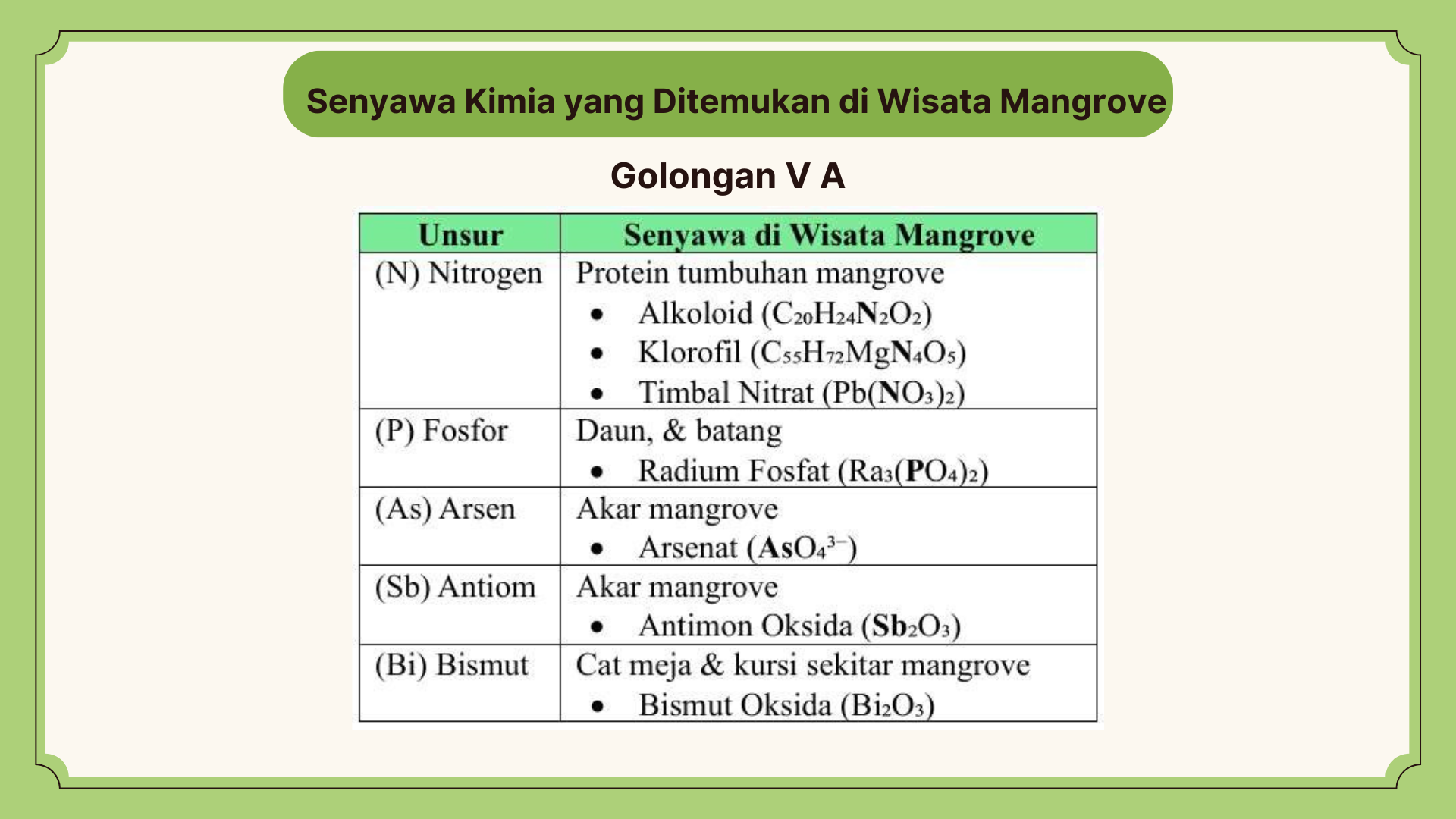Wisata Mangrove - Foto 17
