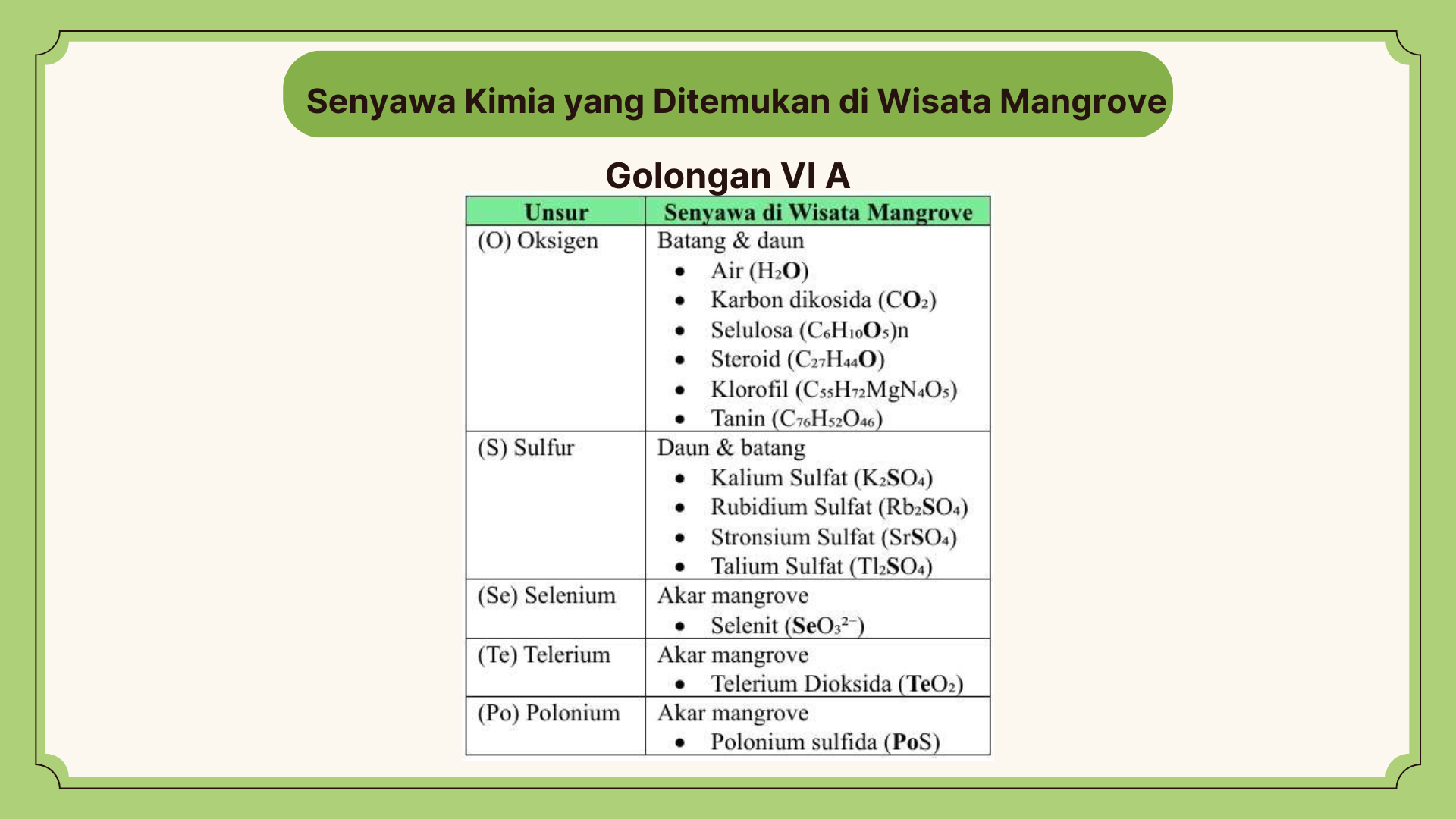 Wisata Mangrove - Foto 18