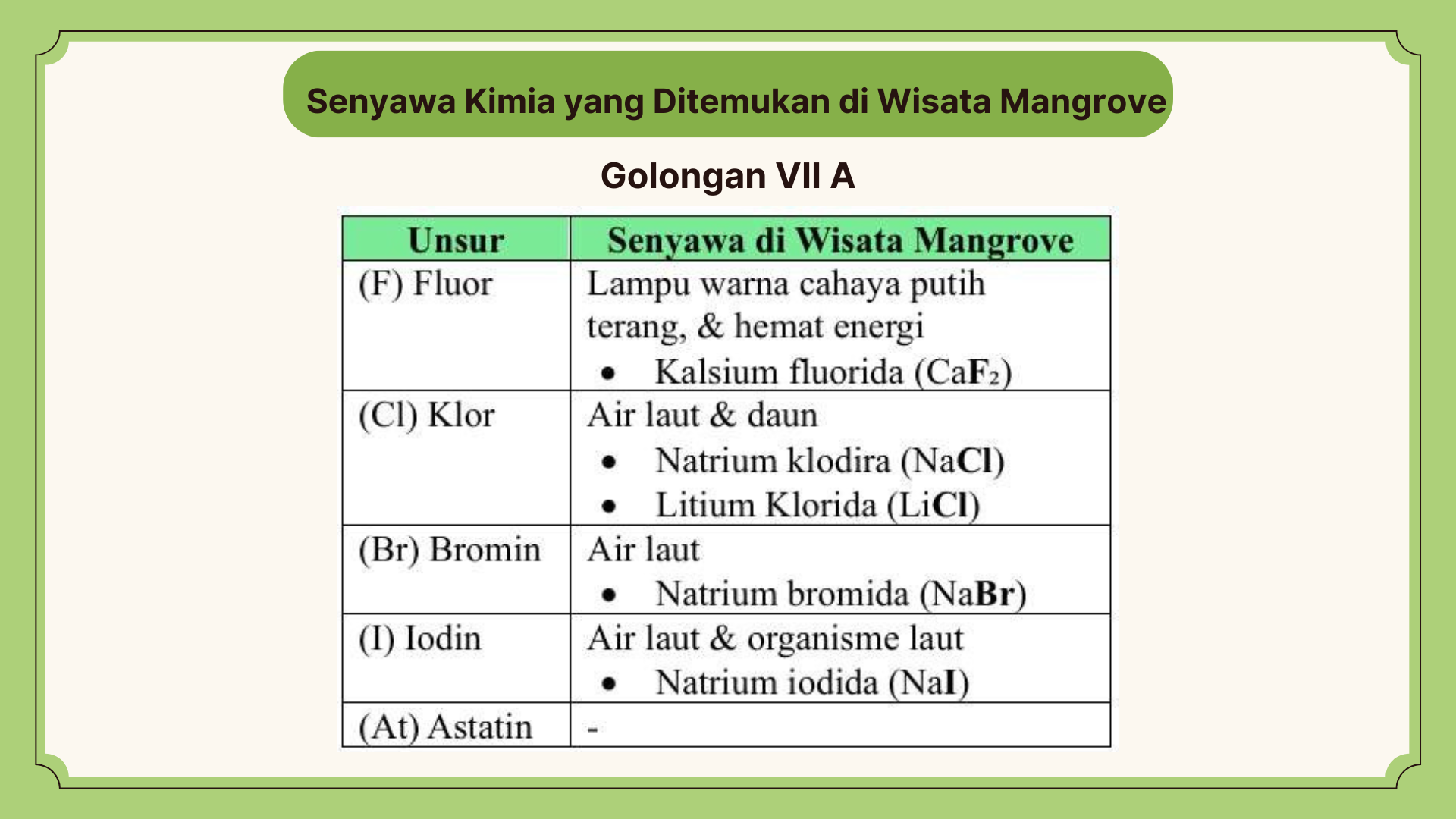 Wisata Mangrove - Foto 19