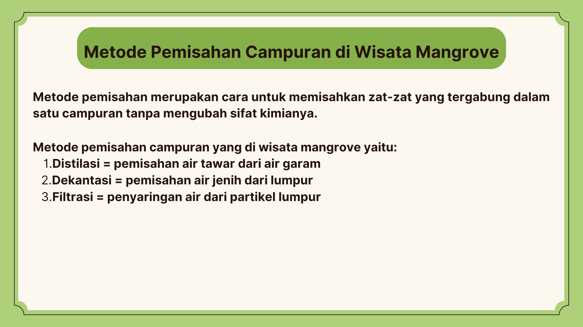 Wisata Mangrove - Foto 24