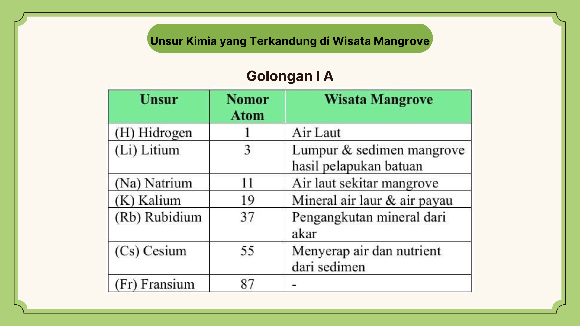 Wisata Mangrove - Foto 4