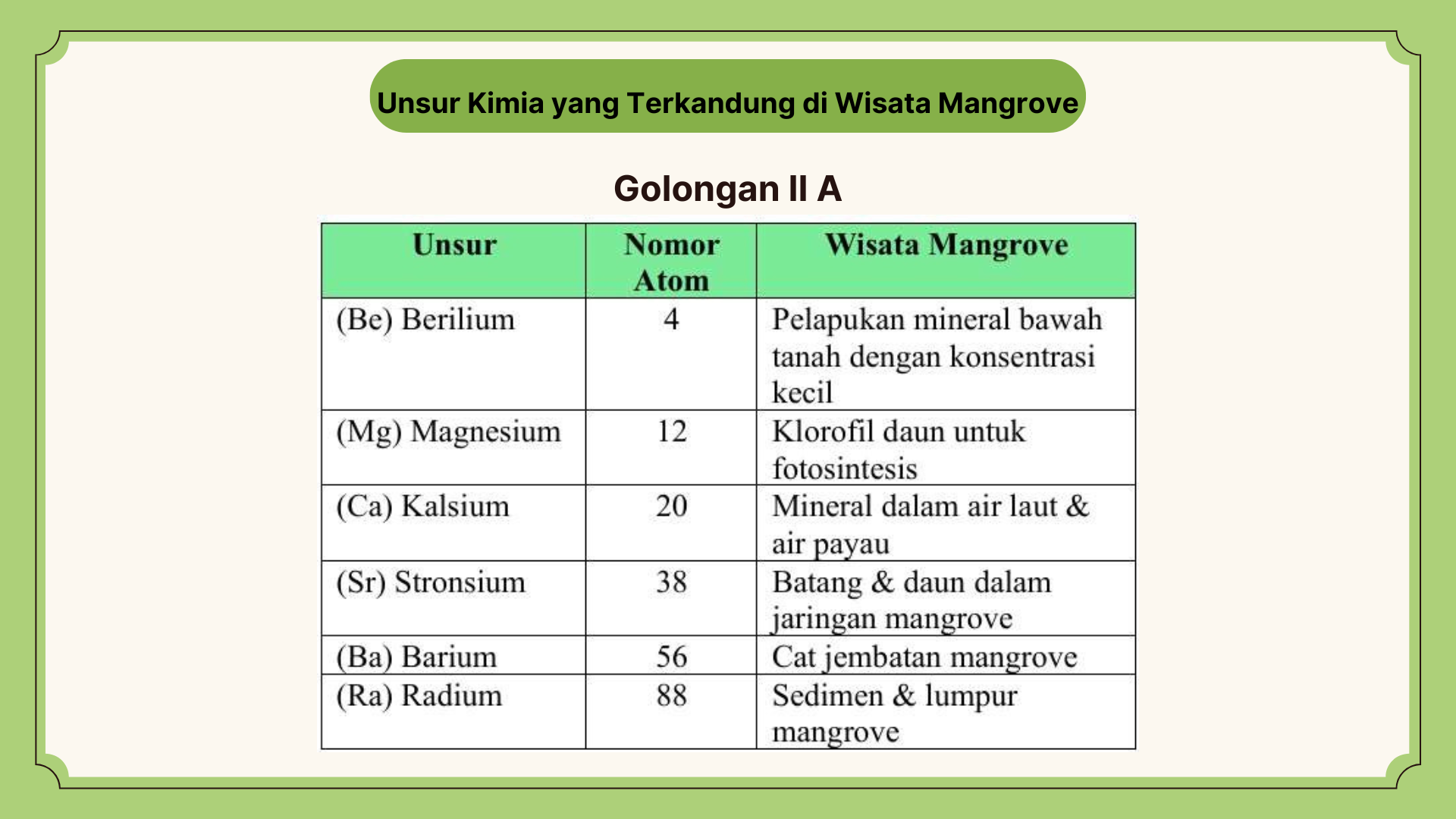 Wisata Mangrove - Foto 5