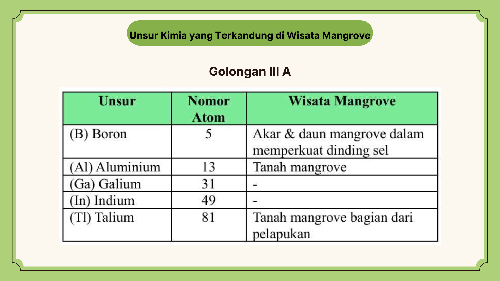 Wisata Mangrove - Foto 6