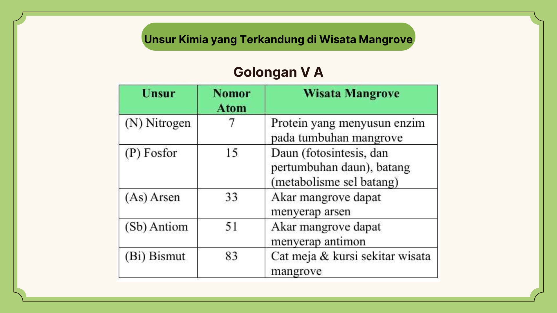 Wisata Mangrove - Foto 8