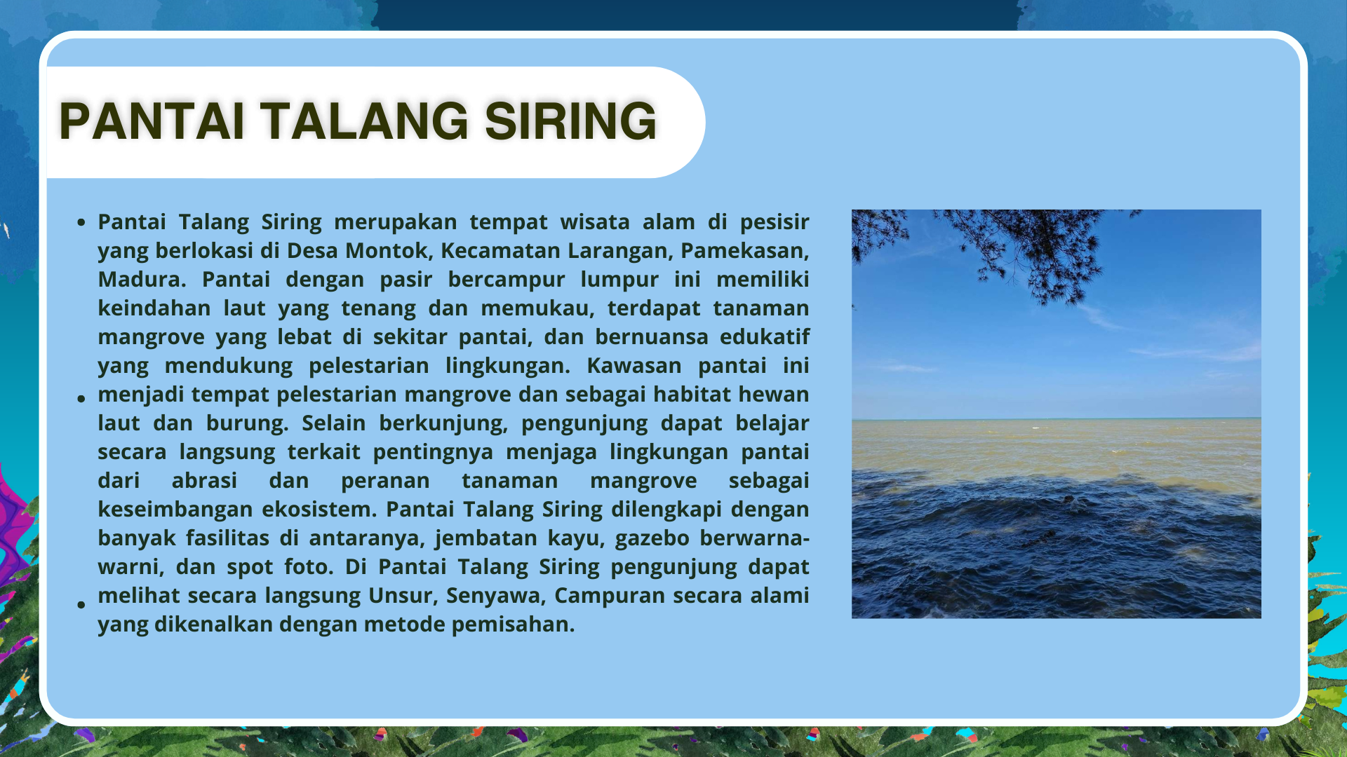 Wisata Pantai Talang Siring - Foto 2